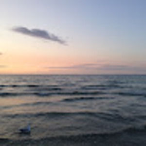 Meet your Posher, Chelsea